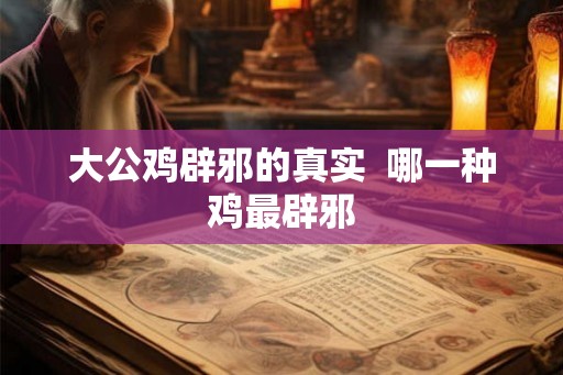 大公鸡辟邪的真实  哪一种鸡最辟邪