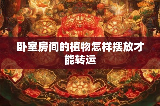 卧室房间的植物怎样摆放才能转运