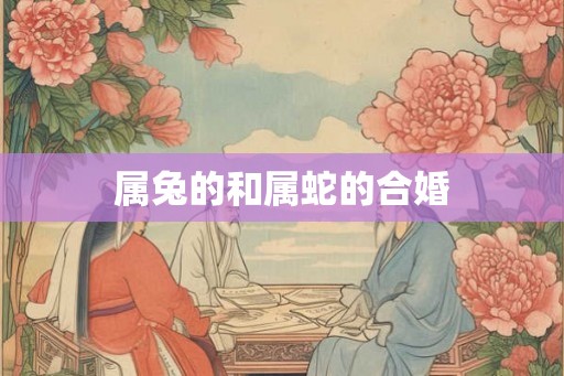 属兔的和属蛇的合婚