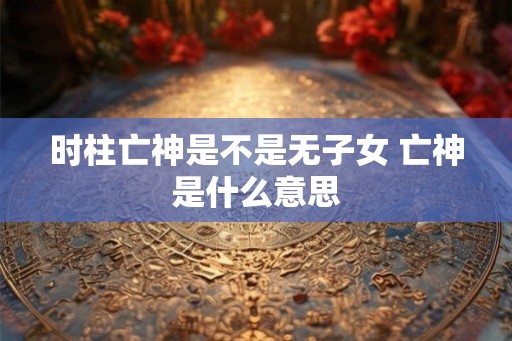 时柱亡神是不是无子女 亡神是什么意思