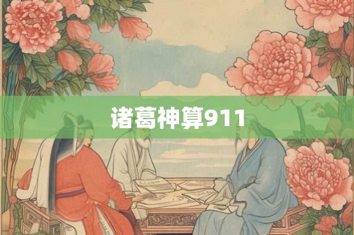 诸葛神算911 诸葛神算911