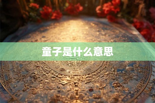 童子是什么意思