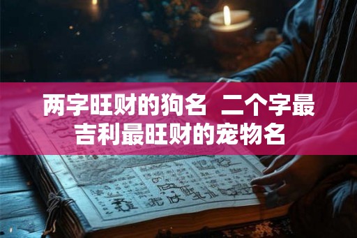 两字旺财的狗名  二个字最吉利最旺财的宠物名