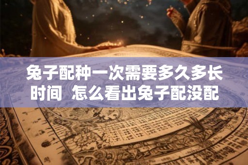 兔子配种一次需要多久多长时间  怎么看出兔子配没配上