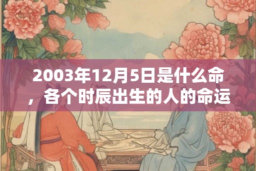 2003年12月5日是什么命，各个时辰出生的人的命运
