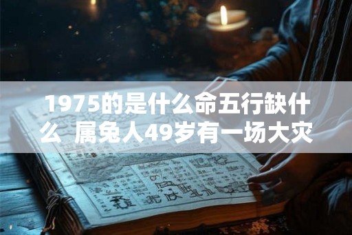 1975的是什么命五行缺什么  属兔人49岁有一场大灾难