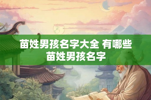 苗姓男孩名字大全 有哪些苗姓男孩名字