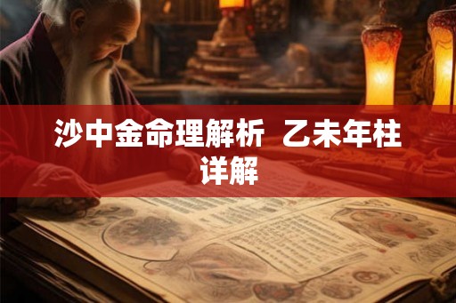 沙中金命理解析  乙未年柱详解