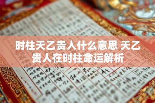 时柱天乙贵人什么意思 天乙贵人在时柱命运解析