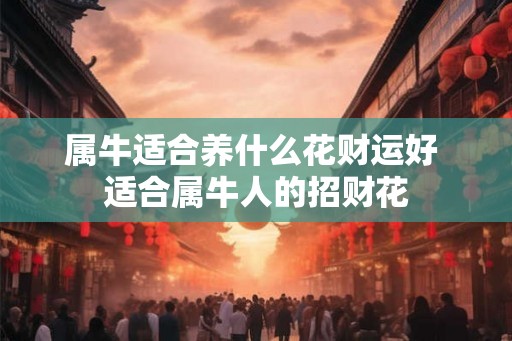 属牛适合养什么花财运好 适合属牛人的招财花