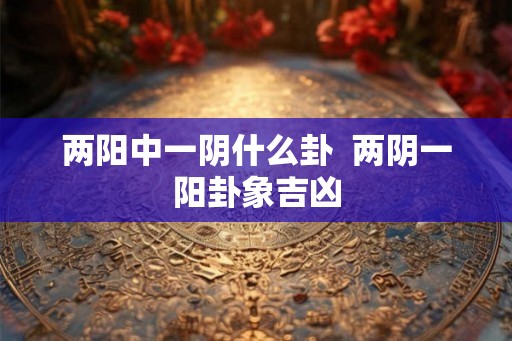 两阳中一阴什么卦 两阴一阳卦象吉凶 两阳中一阴什么卦 两阴一阳卦象吉凶