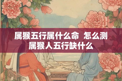 属猴五行属什么命  怎么测属猴人五行缺什么