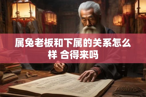 属兔老板和下属的关系怎么样 合得来吗