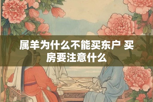 属羊为什么不能买东户 买房要注意什么