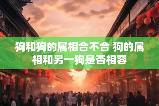 狗和狗的属相合不合 狗的属相和另一狗是否相容