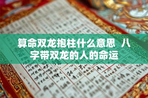 算命双龙抱柱什么意思  八字带双龙的人的命运
