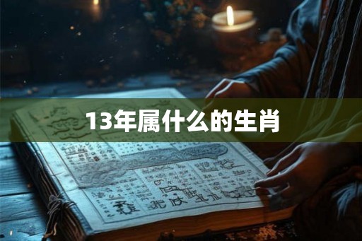 13年属什么的生肖