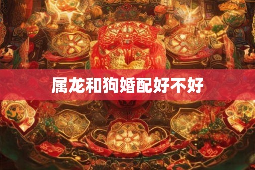 属龙和狗婚配好不好