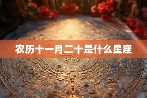 农历十一月二十是什么星座