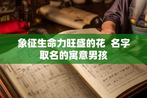 象征生命力旺盛的花  名字取名的寓意男孩