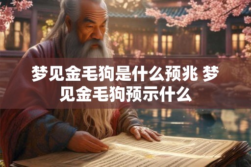 梦见金毛狗是什么预兆 梦见金毛狗预示什么