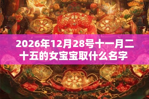 2026年12月28号十一月二十五的女宝宝取什么名字 书香气质