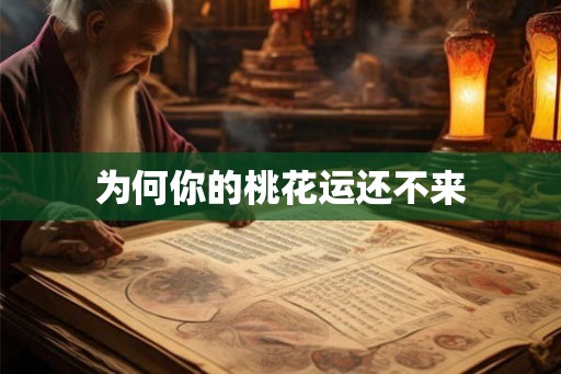 为何你的桃花运还不来 为何你的桃花运还不来