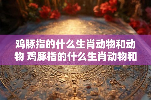 鸡豚指的什么生肖动物和动物 鸡豚指的什么生肖动物和动物的区别