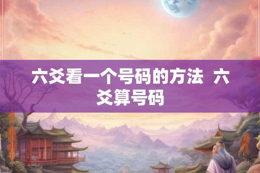 六爻看一个号码的方法  六爻算号码