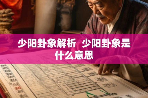 少阳卦象解析  少阳卦象是什么意思
