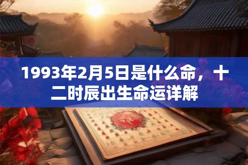 1993年2月5日是什么命，十二时辰出生命运详解