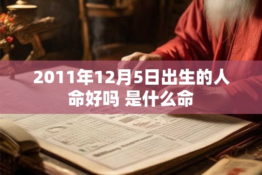 2011年12月5日出生的人命好吗 是什么命