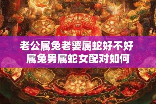 老公属兔老婆属蛇好不好 属兔男属蛇女配对如何