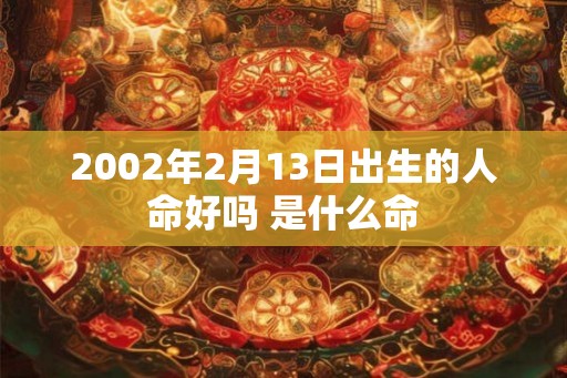 2002年2月13日出生的人命好吗 是什么命