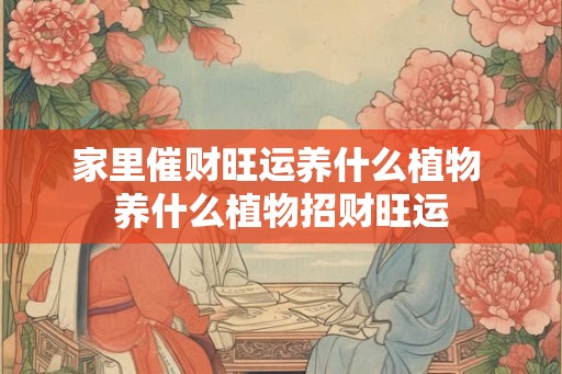 家里催财旺运养什么植物 养什么植物招财旺运