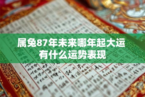 属兔87年未来哪年起大运 有什么运势表现