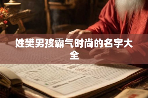 姓樊男孩霸气时尚的名字大全