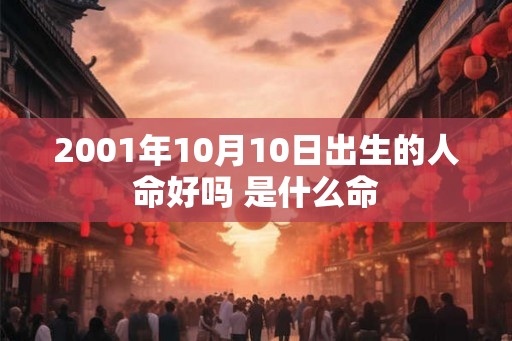 2001年10月10日出生的人命好吗 是什么命