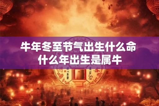 牛年冬至节气出生什么命 什么年出生是属牛