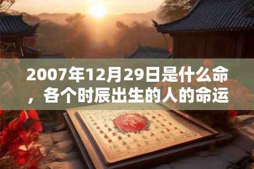 2007年12月29日是什么命，各个时辰出生的人的命运