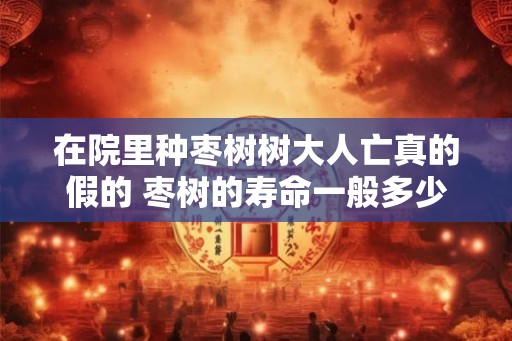 在院里种枣树树大人亡真的假的 枣树的寿命一般多少年 在院里种枣树树大人亡真的假的 枣树的寿命一般多少年