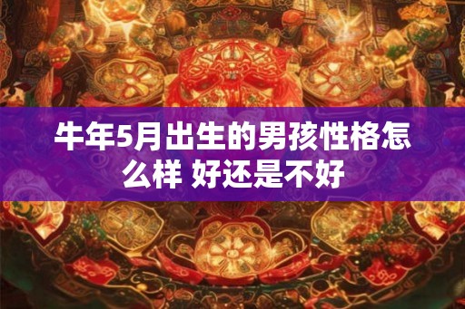牛年5月出生的男孩性格怎么样 好还是不好