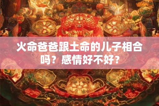 火命爸爸跟土命的儿子相合吗？感情好不好？