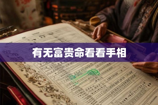有无富贵命看看手相 有无富贵命看看手相
