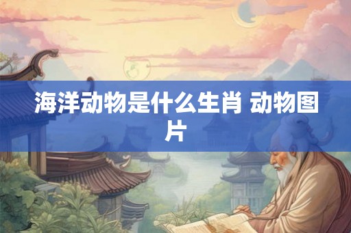海洋动物是什么生肖 动物图片