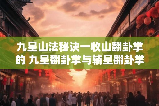 九星山法秘诀一收山翻卦掌的 九星翻卦掌与辅星翻卦掌 九星山法秘诀一收山翻卦掌的 九星翻卦掌与辅星翻卦掌