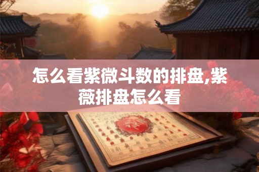 怎么看紫微斗数的排盘,紫薇排盘怎么看