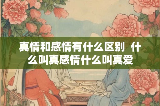 真情和感情有什么区别  什么叫真感情什么叫真爱