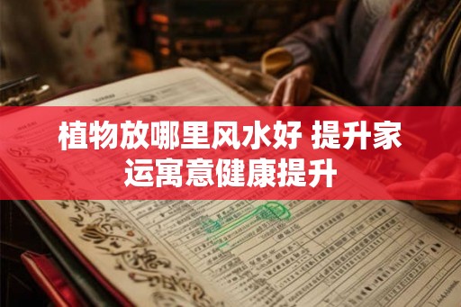 植物放哪里风水好 提升家运寓意健康提升 植物放哪里风水好 提升家运寓意健康提升