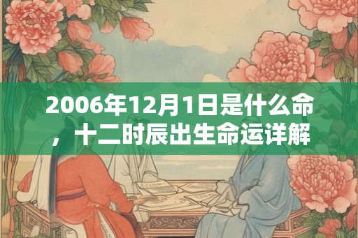 2006年12月1日是什么命，十二时辰出生命运详解
